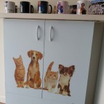 Furniture Decal
